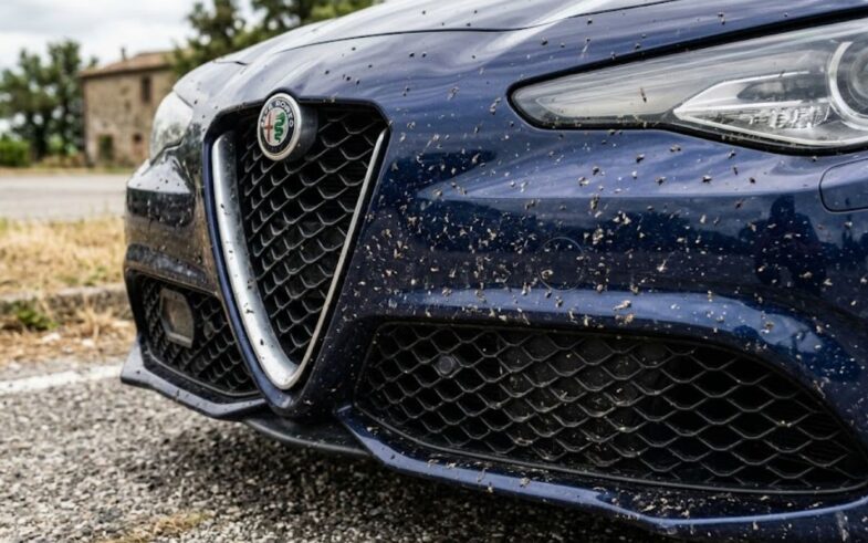 rimuovere moscerini carrozzeria auto